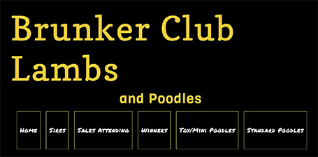 Brunker Club Lambs & Poodles