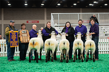 American Hampshire Sheep Association :: Results